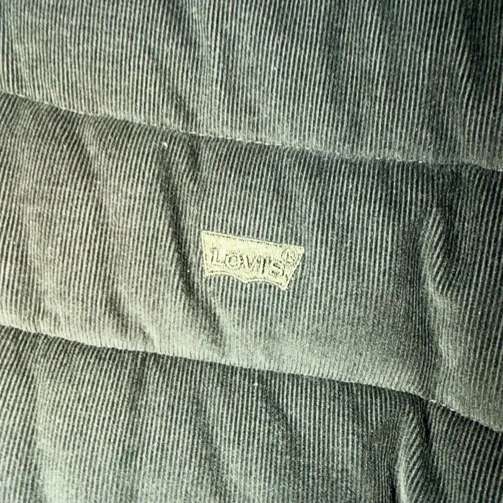 Levis levi’s men’s