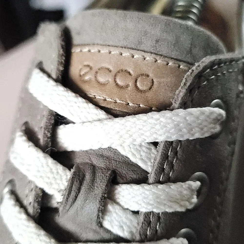 Ecco chase ii