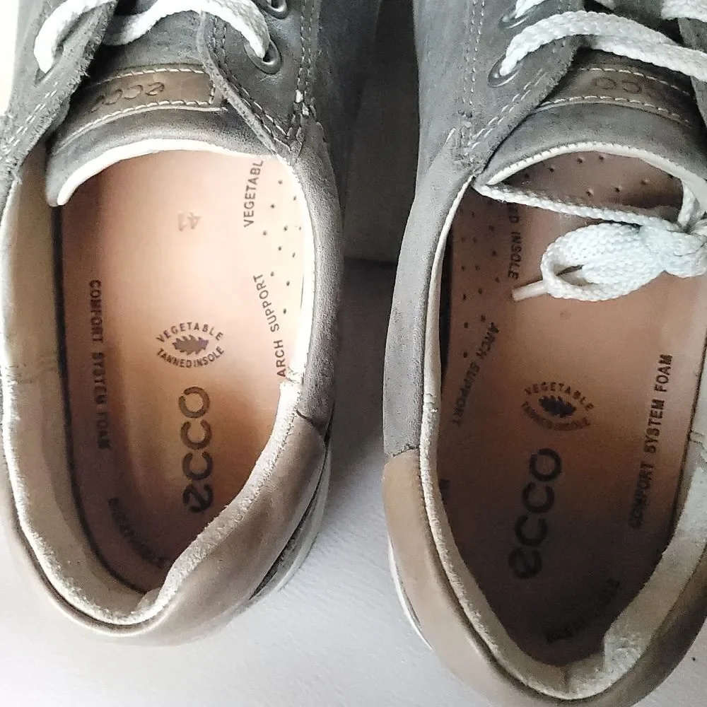 Ecco chase ii