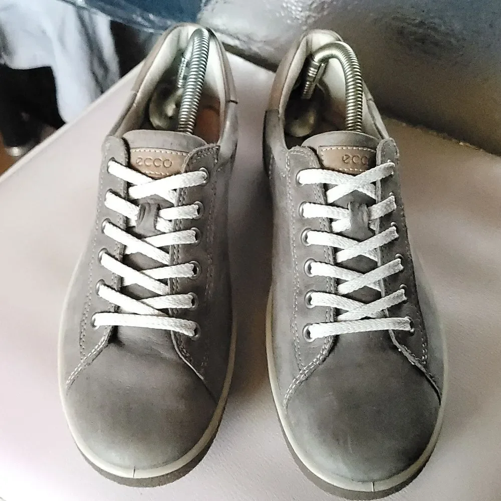 Ecco chase ii
