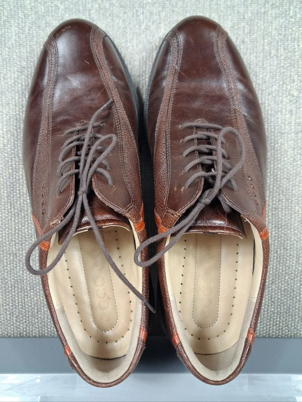 Ecco tour hybrid