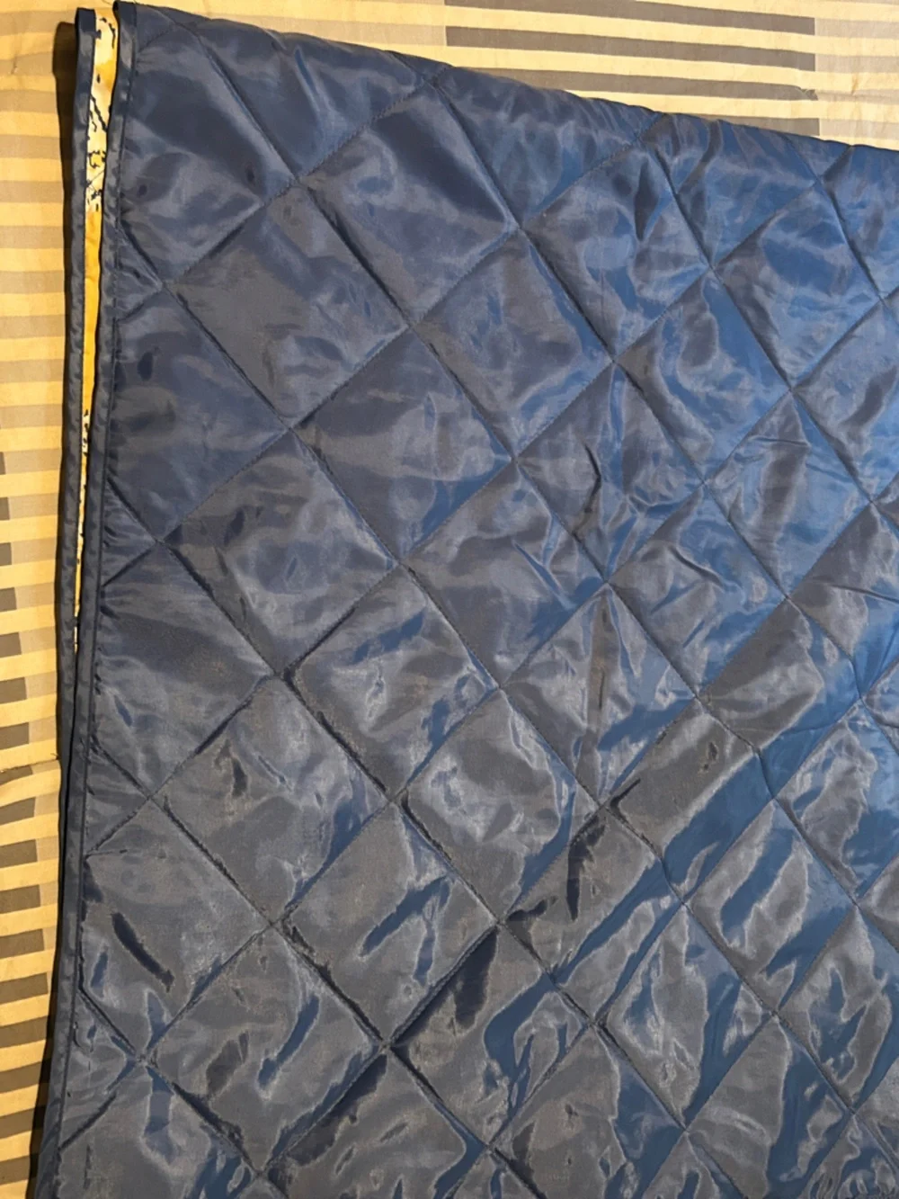 Joes Jeans quilted picnic