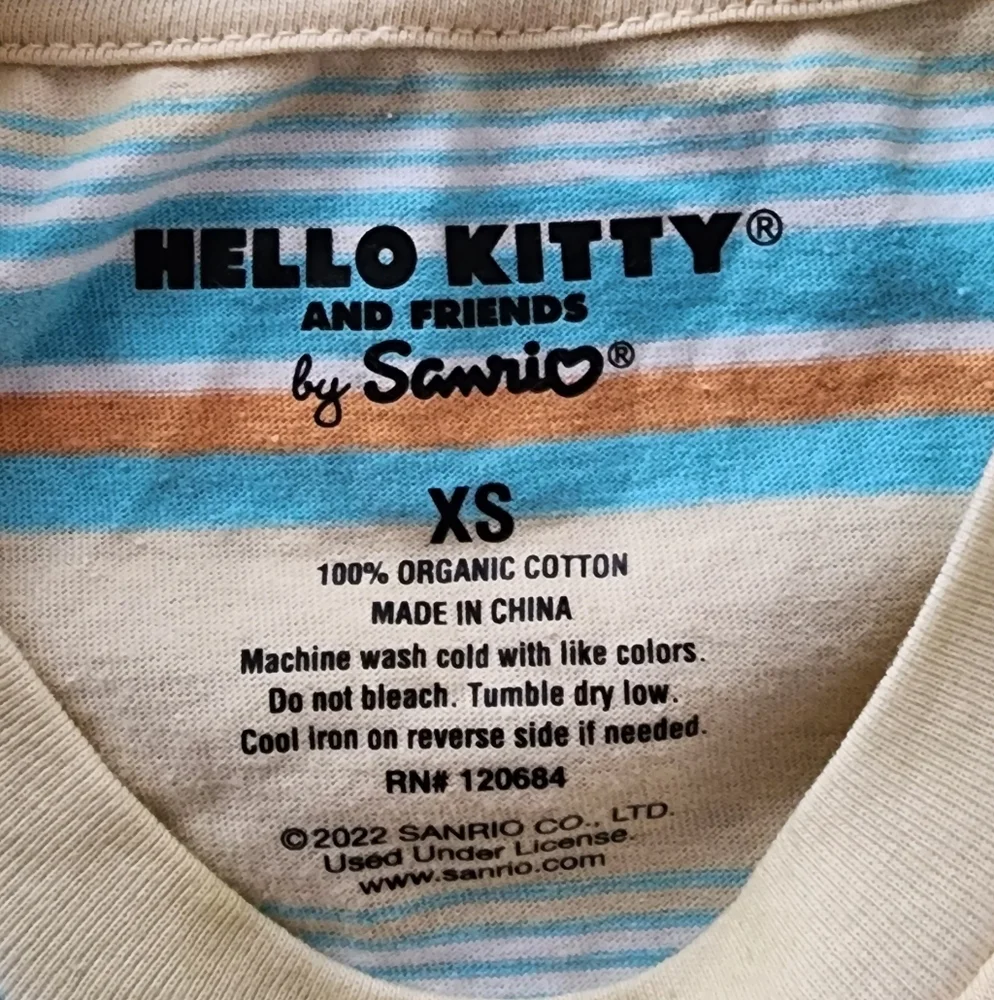 Sanrio pompompurin chest tags