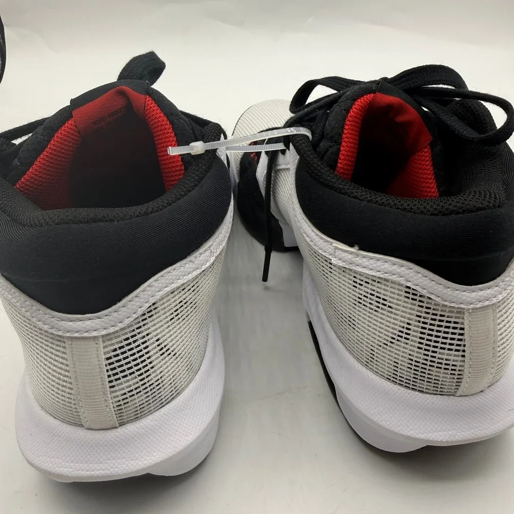 Nike lebron witness