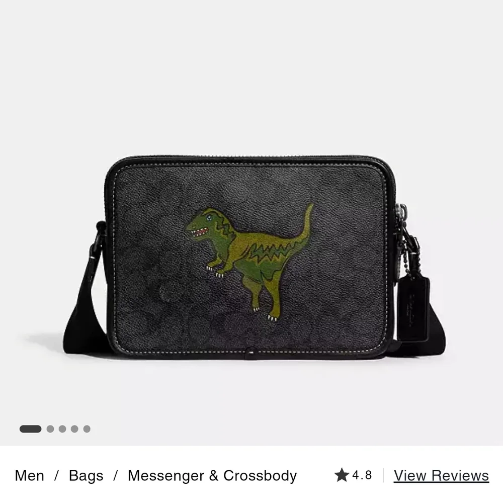 Coach stylish men
