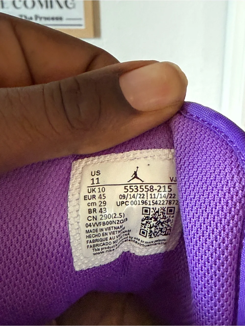 Jordan Sneakers in White, Brown & Purple