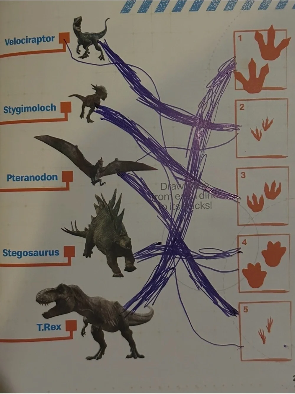 N/A dinosaurs plus