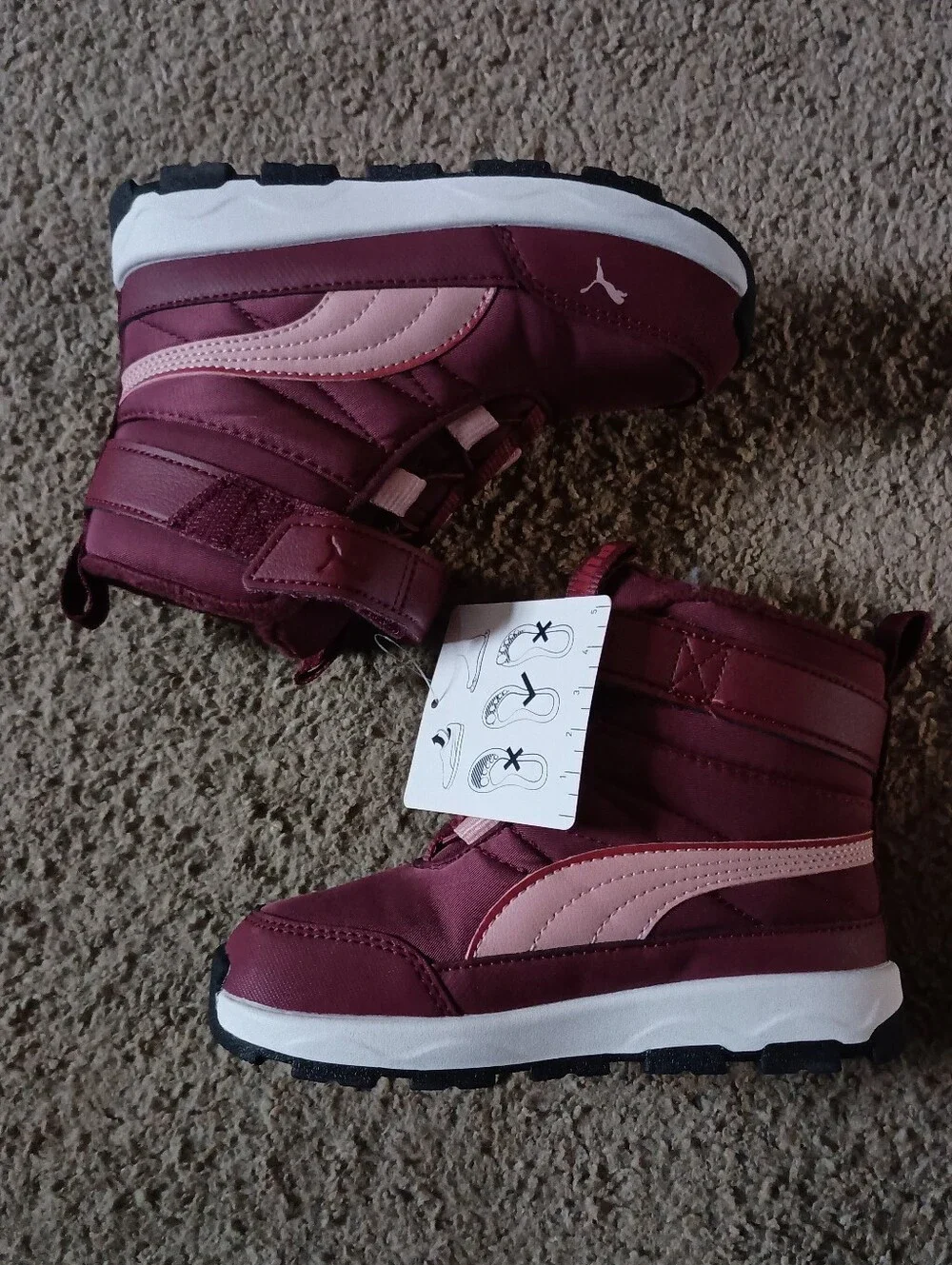 Puma evolve puretex