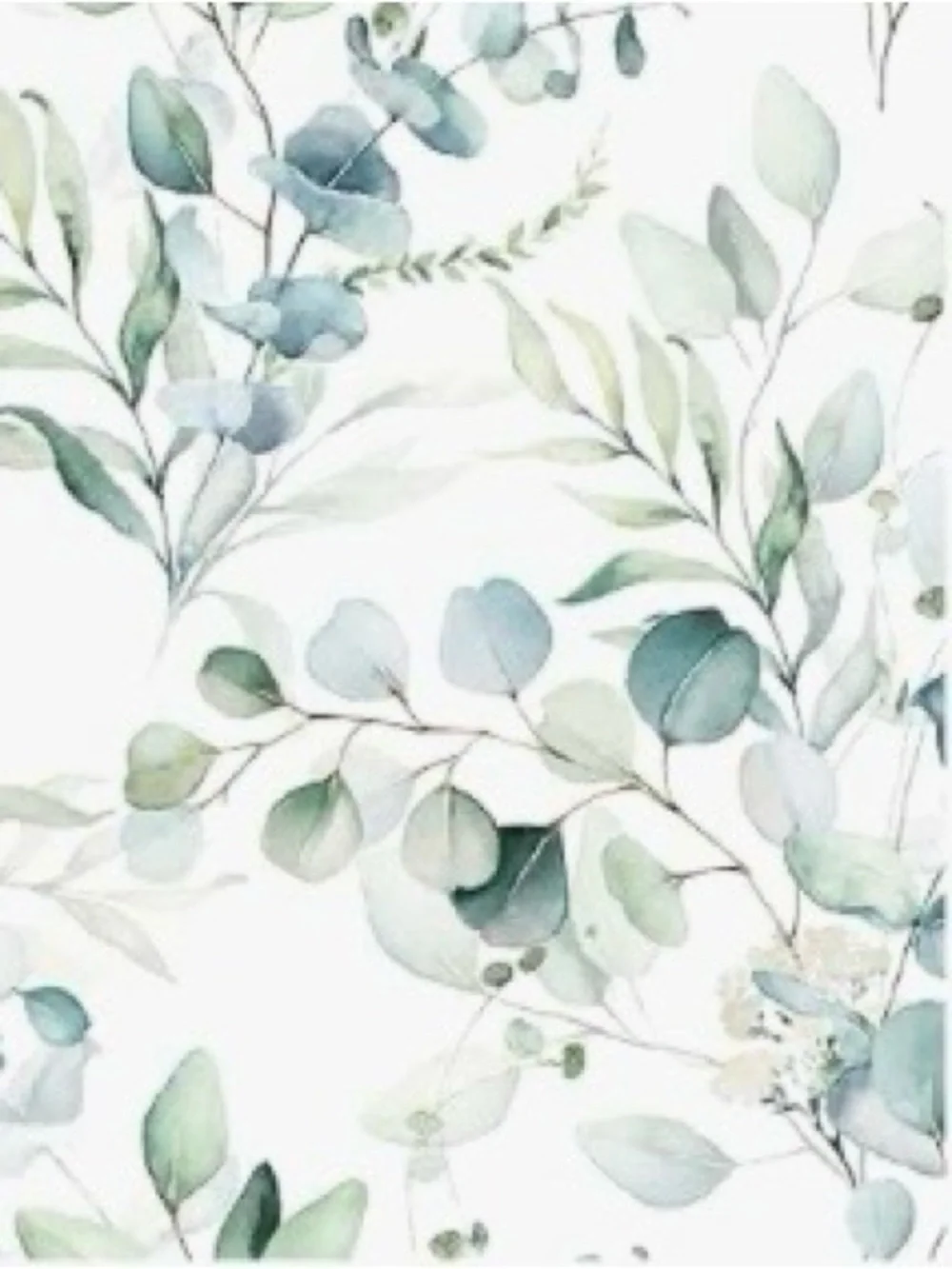 N/A soft botanical