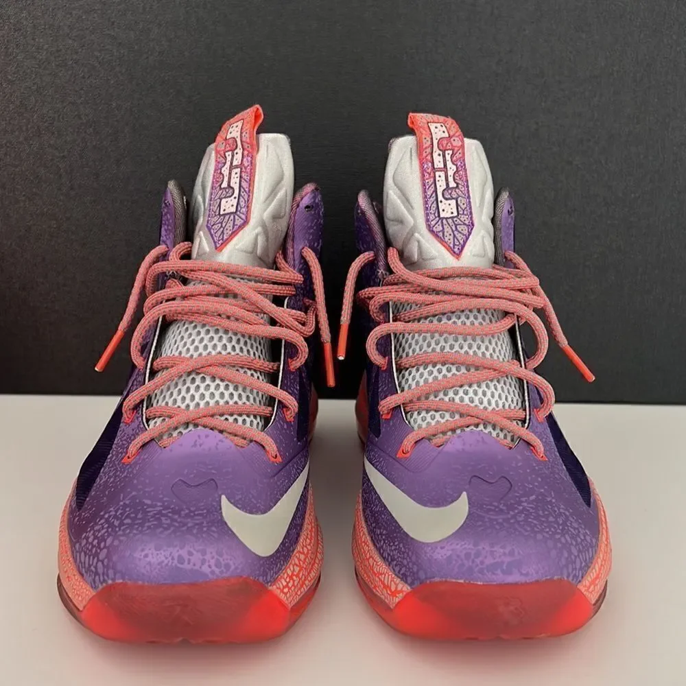 Lebron 10 GS ‘extraterrestrial’ Nike Sneakers