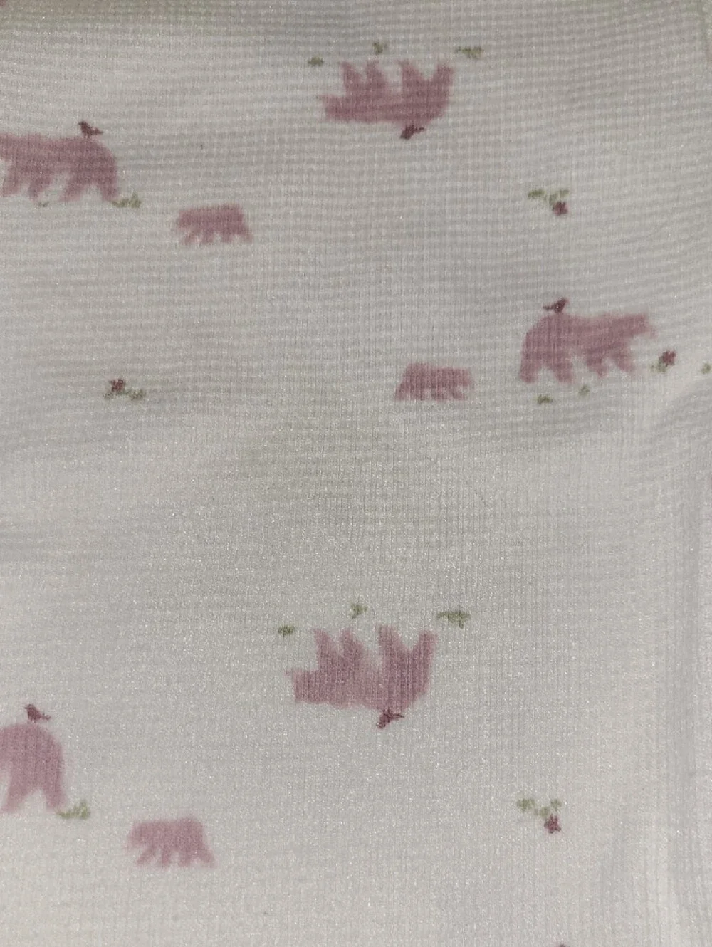 Carters carters soft