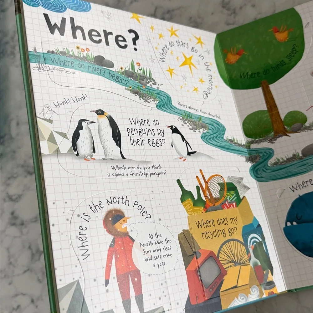 Usborne Lift the Flap Questions and Answers Book Set of 3