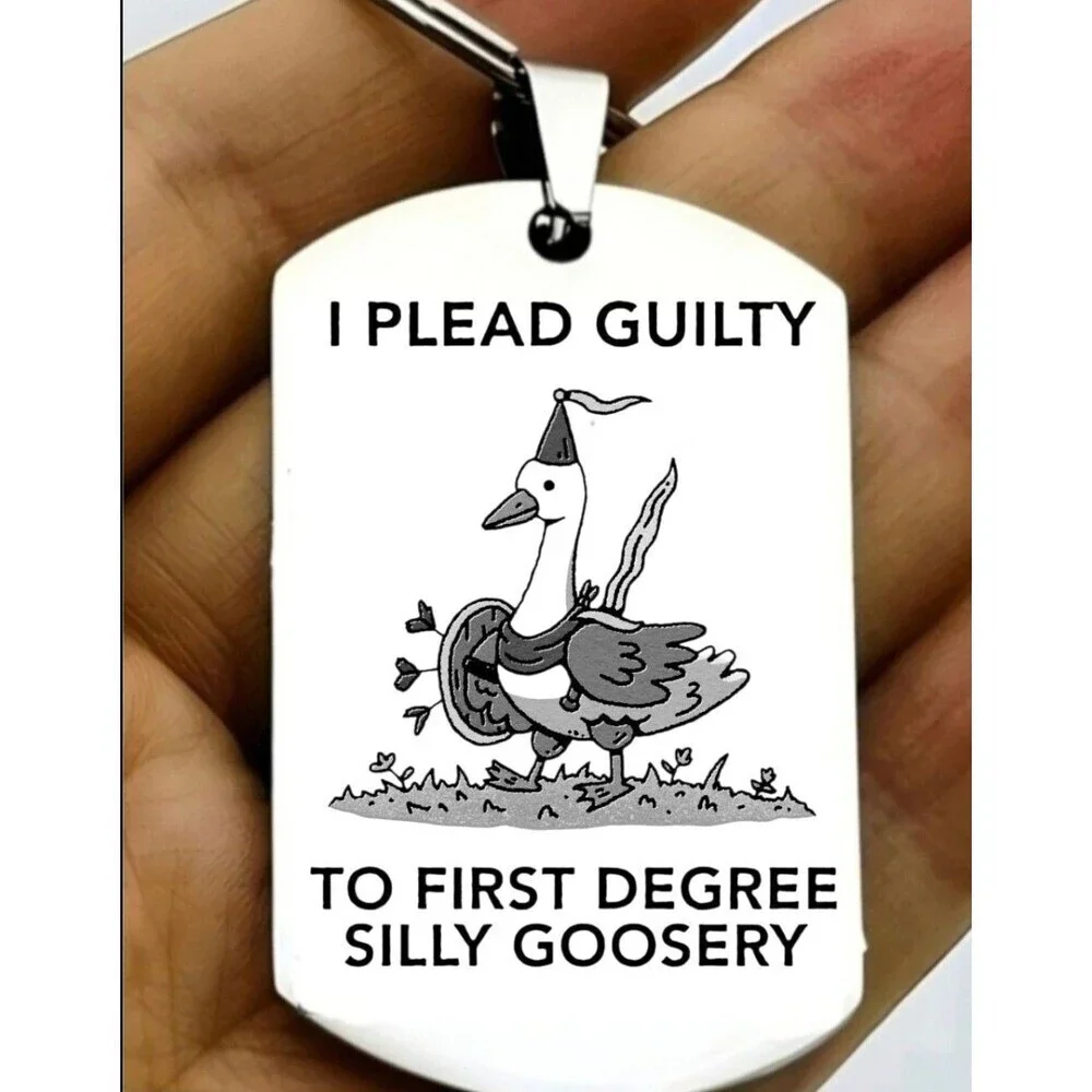 First Degree Silly Goose Meme Joke Funny Stainless Keychain Art Amimal