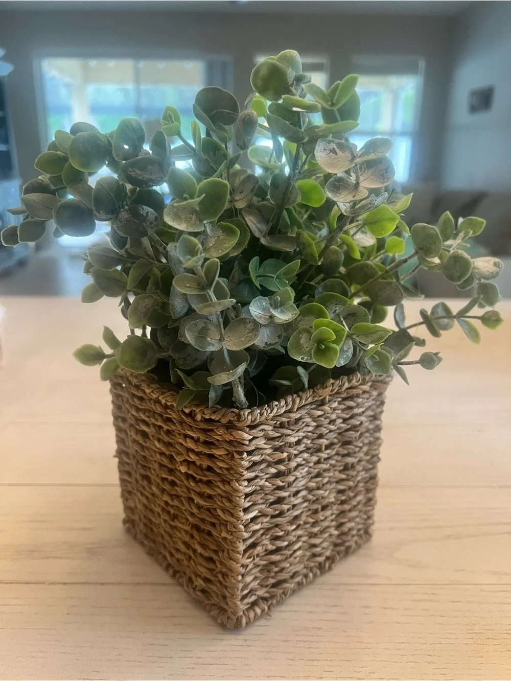 Faux Eucalyptus Plant in Woven Square Planter