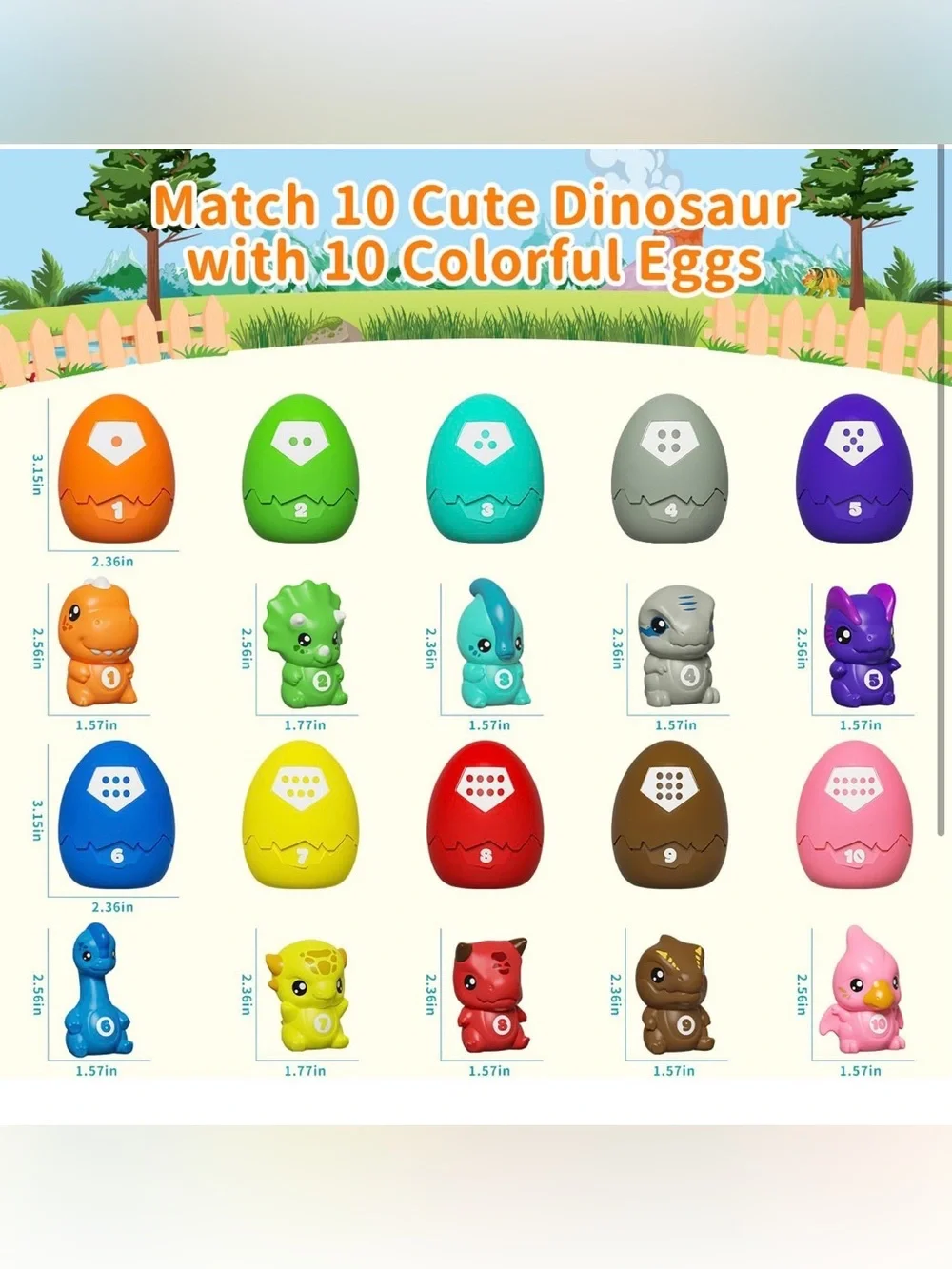 N/A dinosaur egg