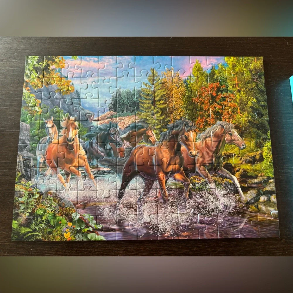 Ravensburger save shipping closet
