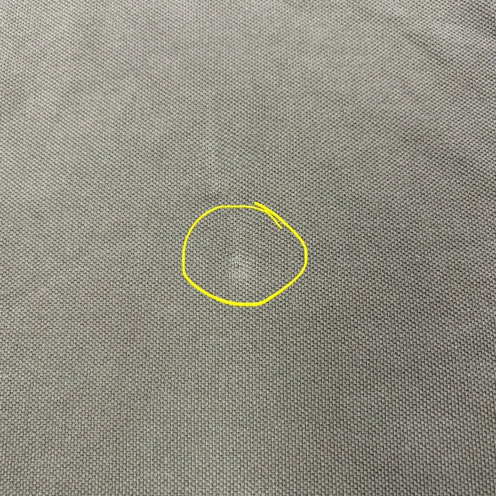Polo Ralph Lauren this polo
