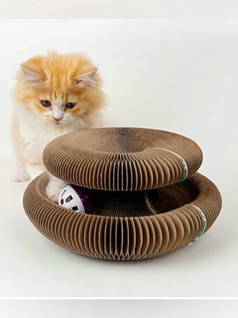 N/A interactive cat