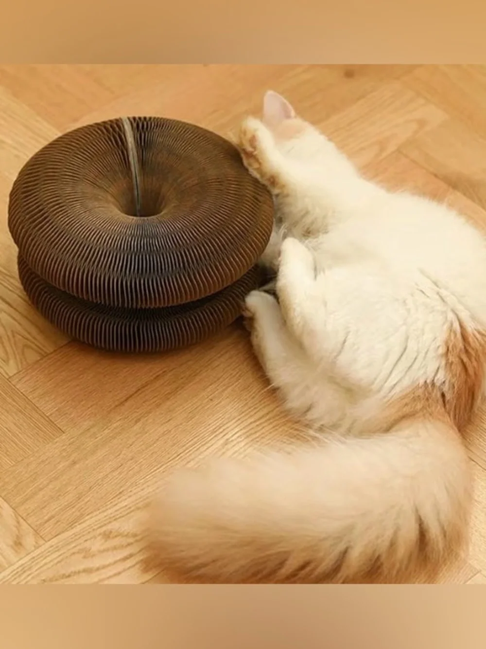 N/A interactive cat