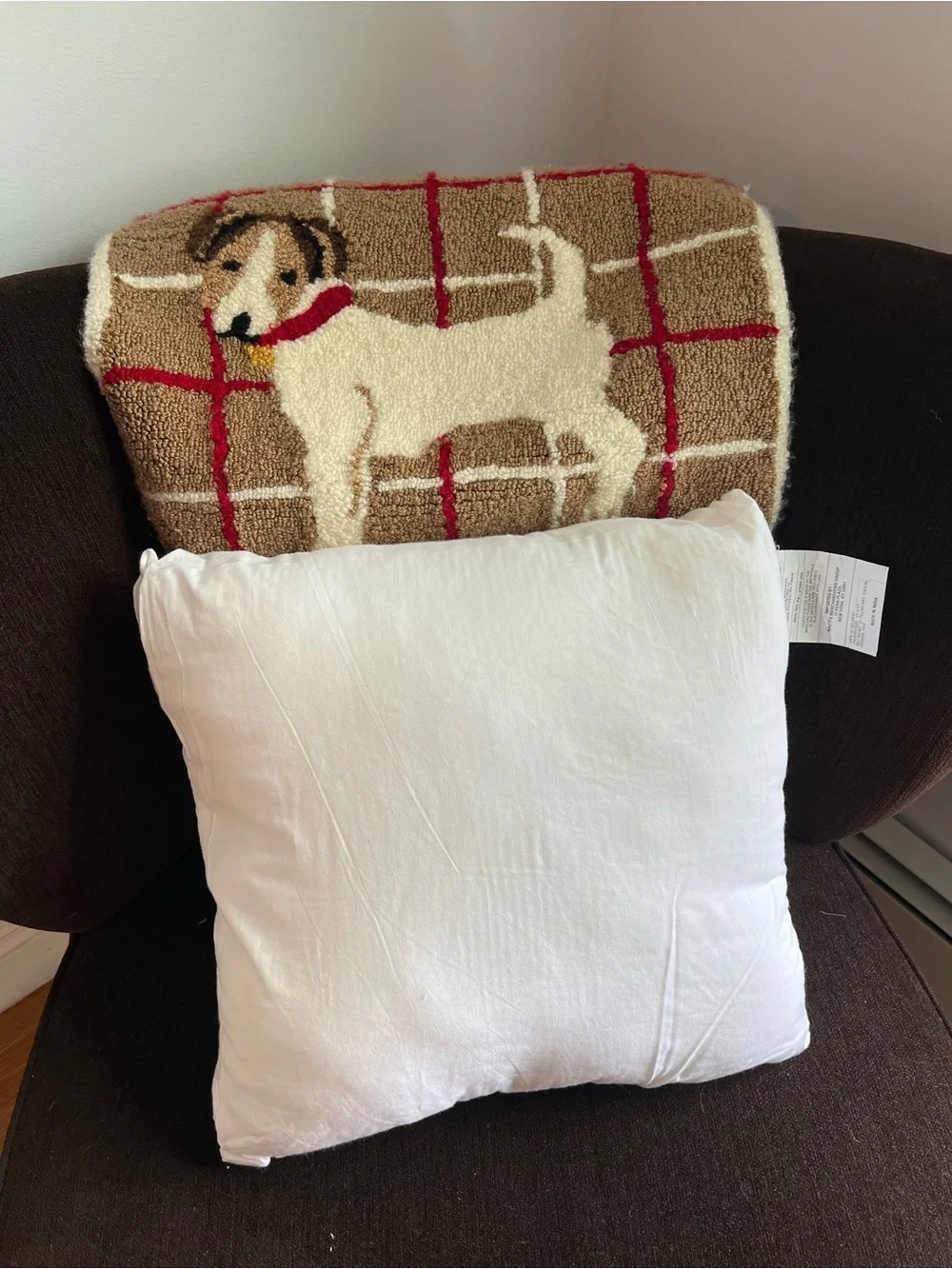 N/A jack russell