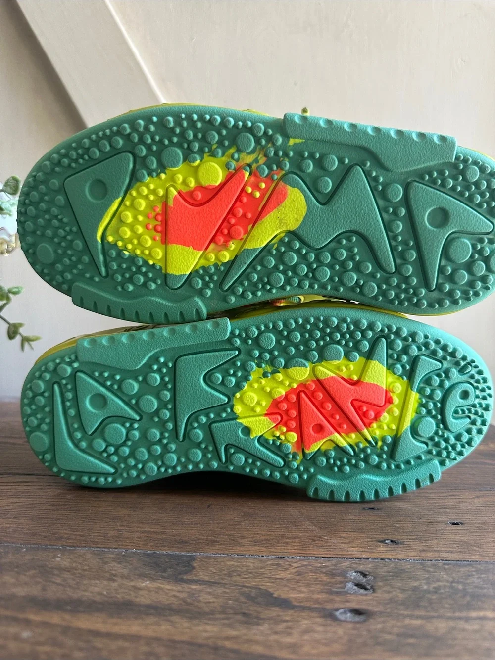 Puma lafrancé heatmap