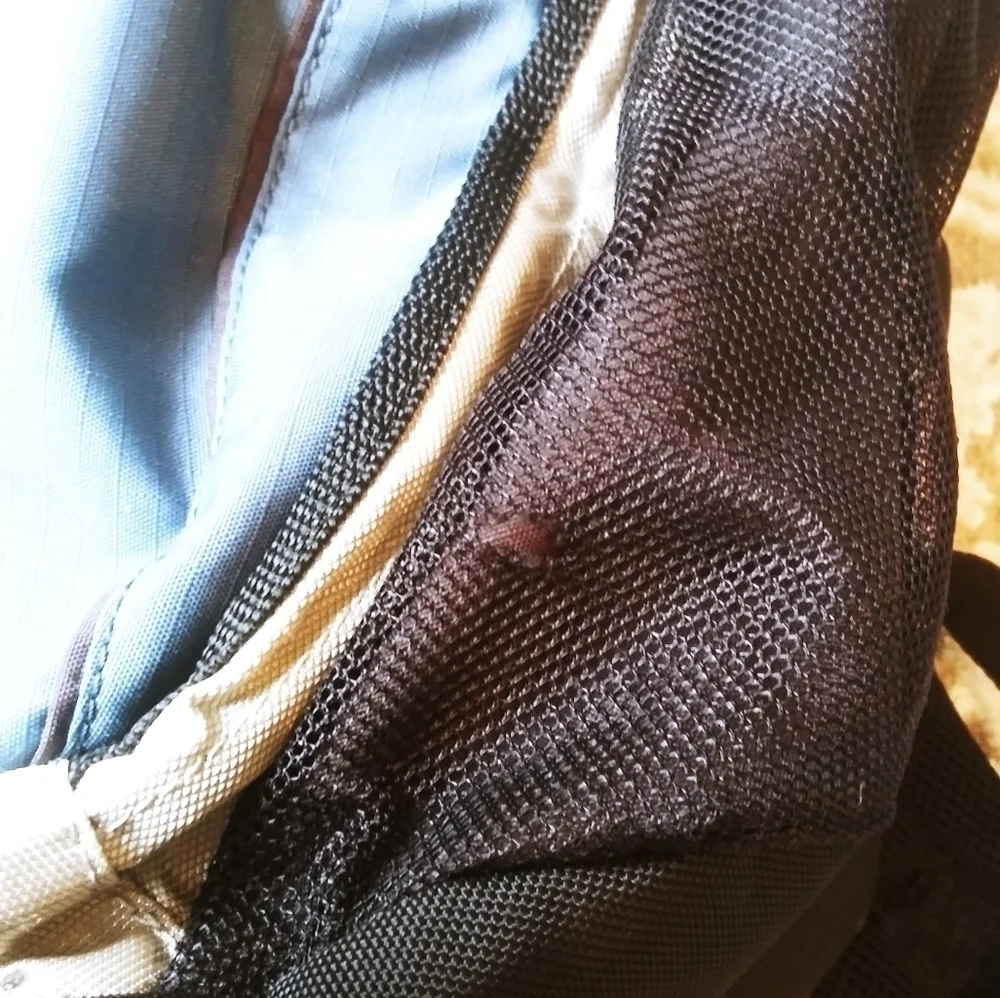 Samsonite nice backpack
