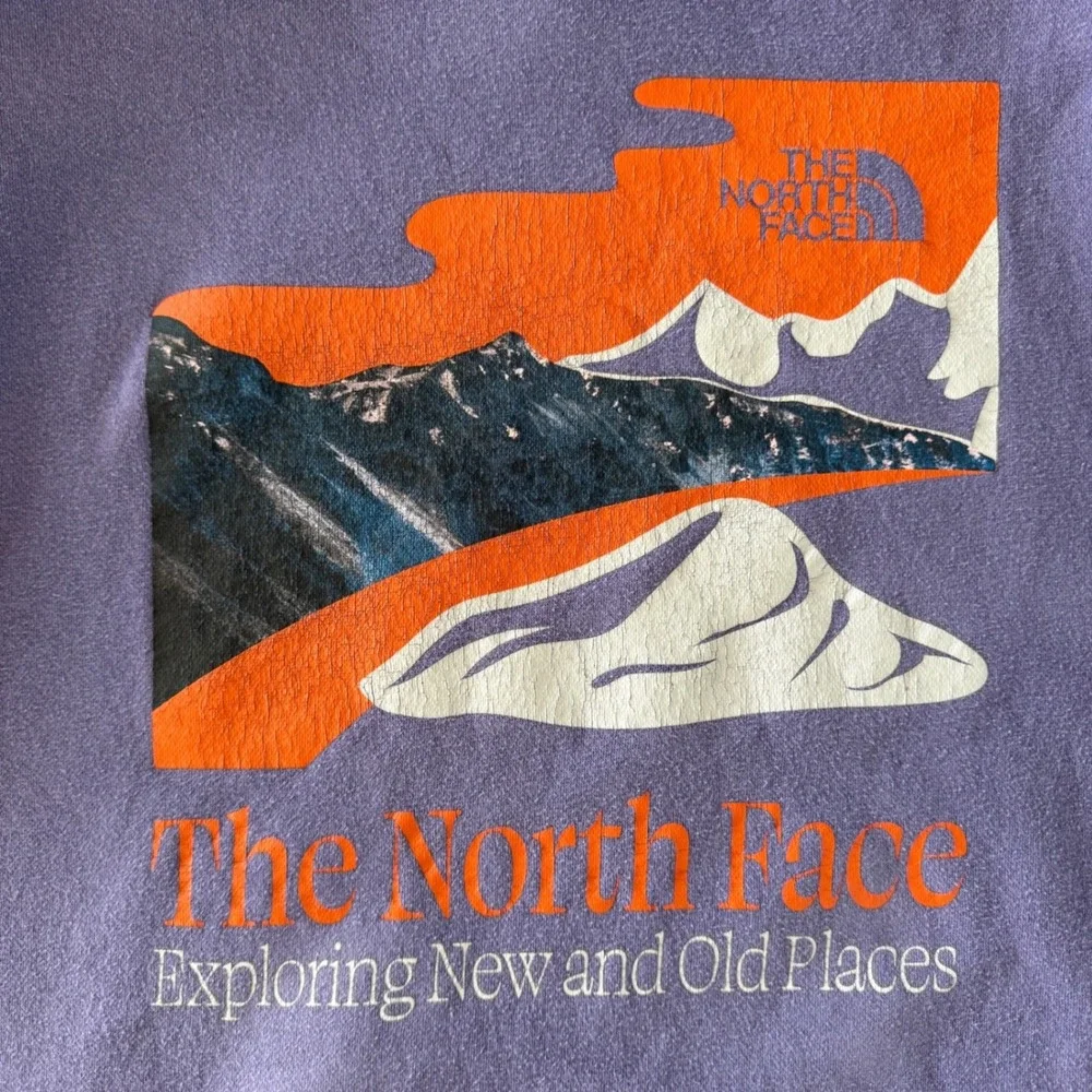 The North Face Hoodie Mens XL Purple Steamboat Never Stop Exploring Graphic