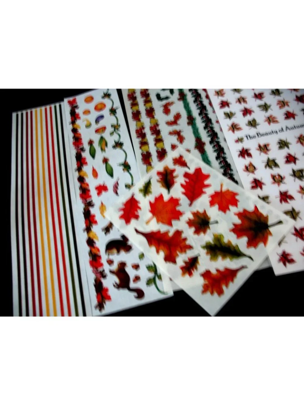 Creative Memories traditional tropical