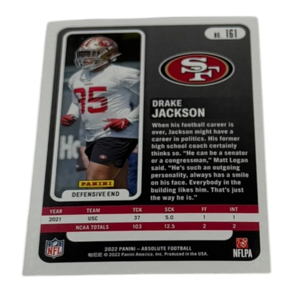 Panini brand series