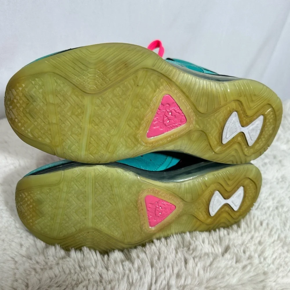 Nike Lebron great size