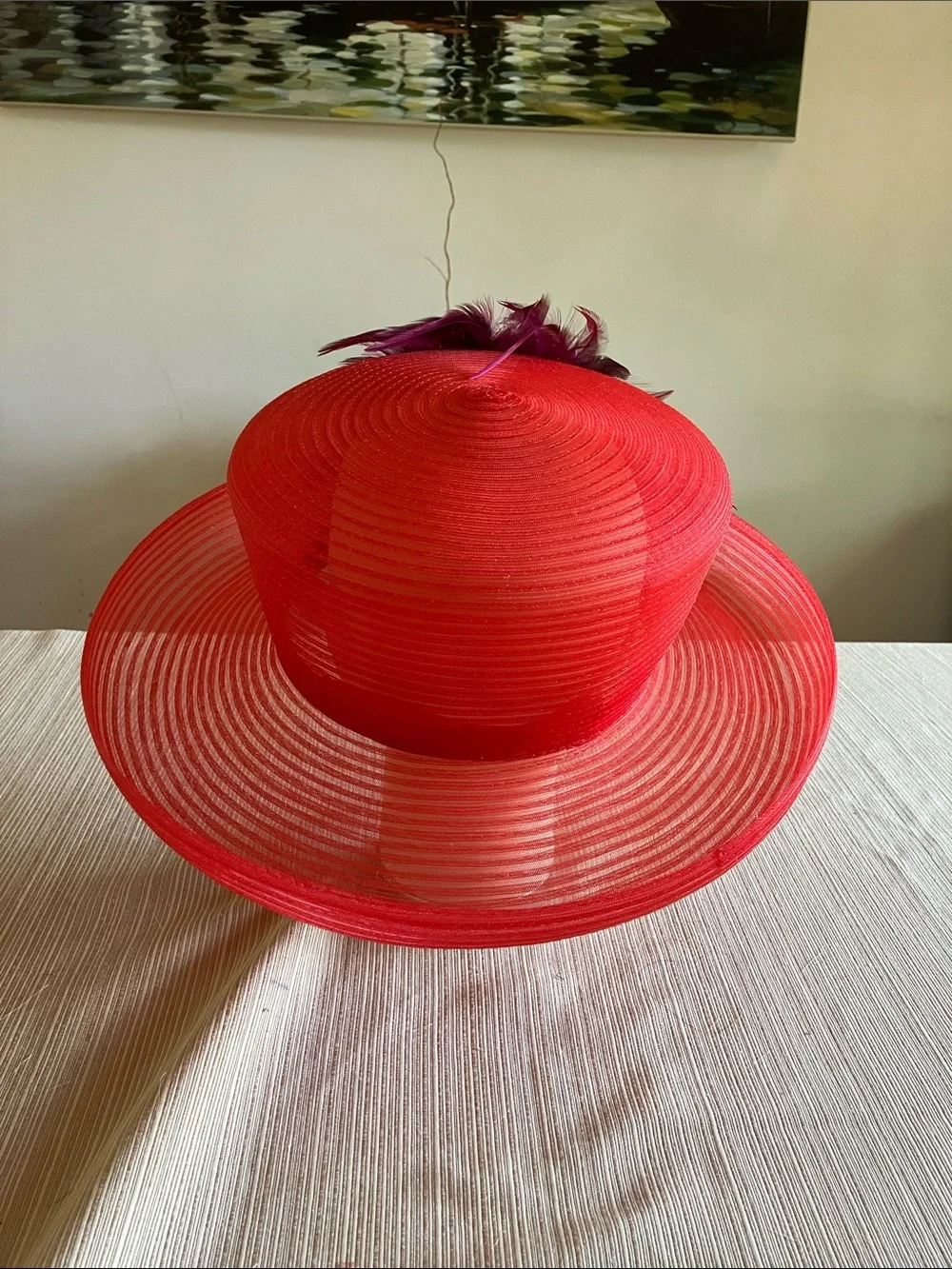 Elegant Red Wide-Brim Feathered Hat