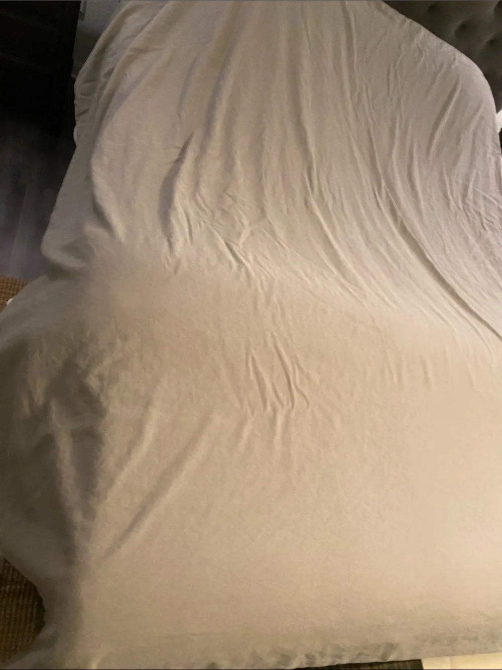Restoration Hardware Stonewashed Duvet Cover