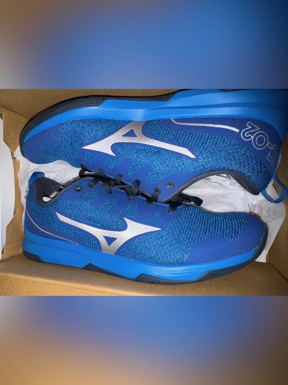 Mizuno course men shoes