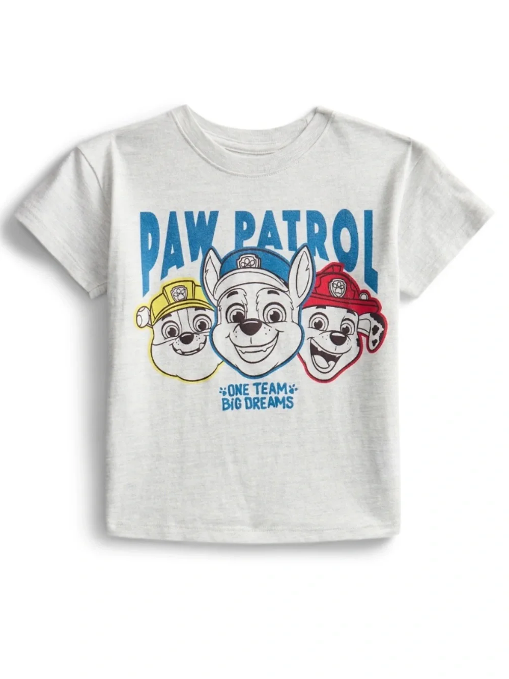Paw Patrol Unisex Platinum Heather Tee Shirt Size 5T NWT