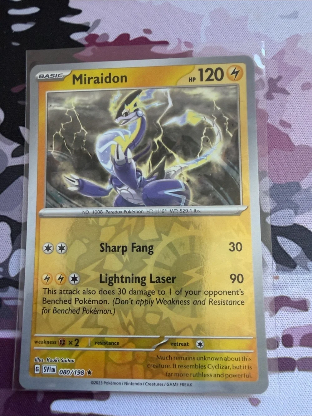 Pokemon holo ex