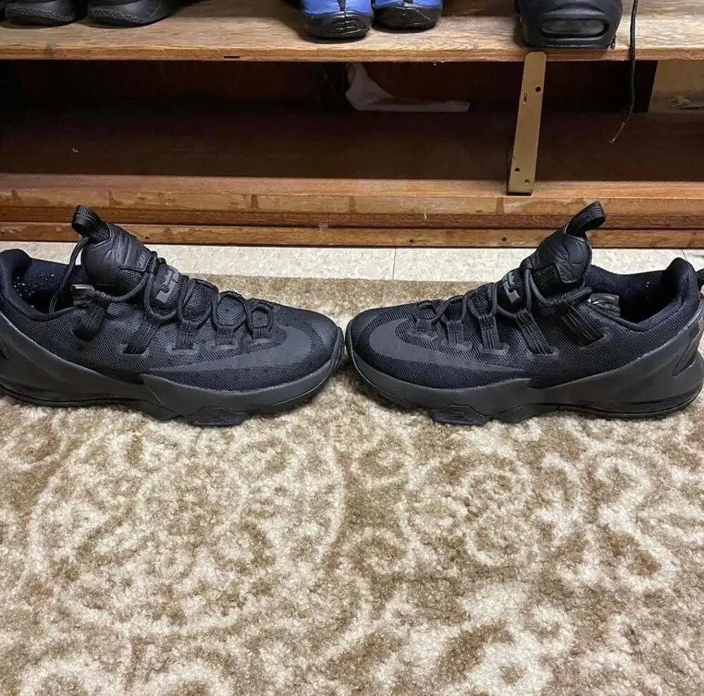 Nike lebron witness