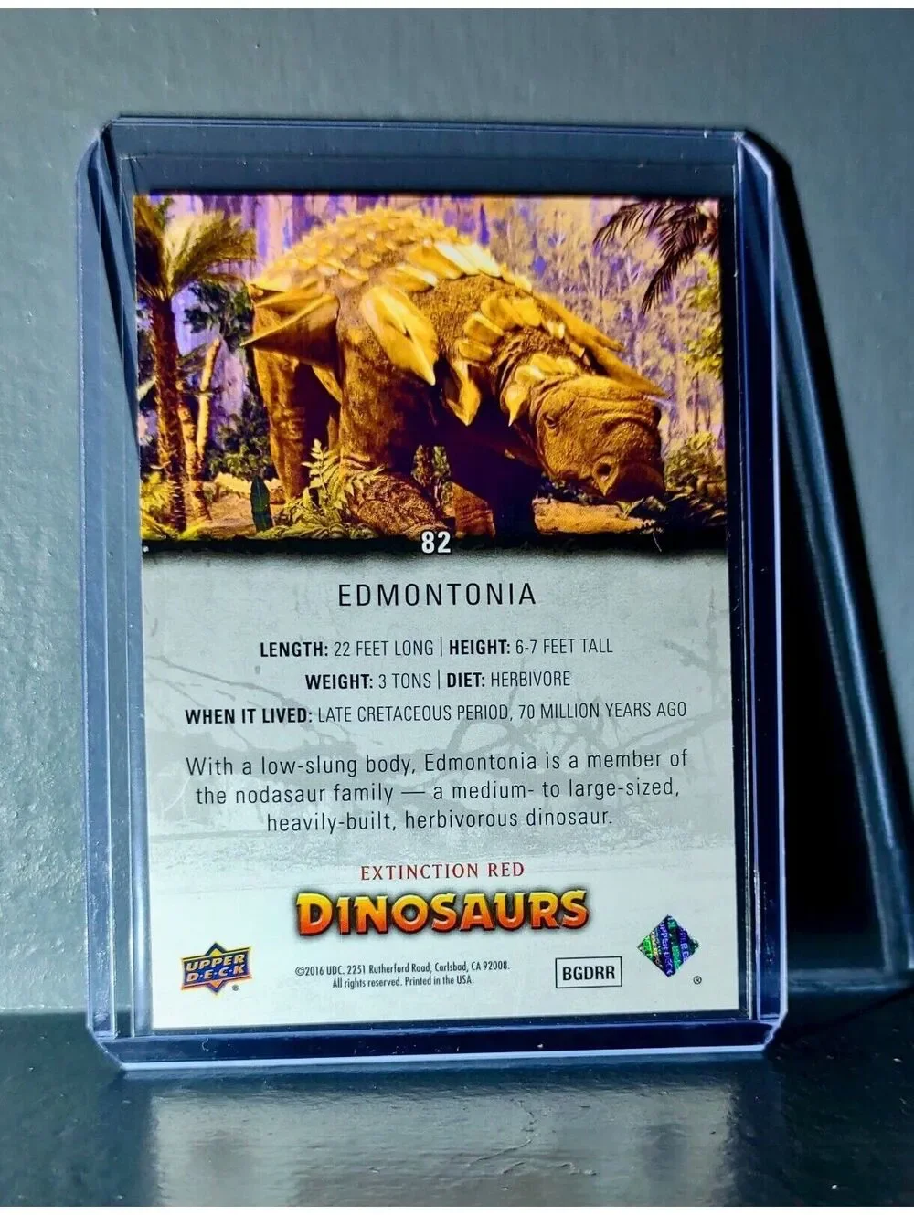 N/A extinction dinosaur