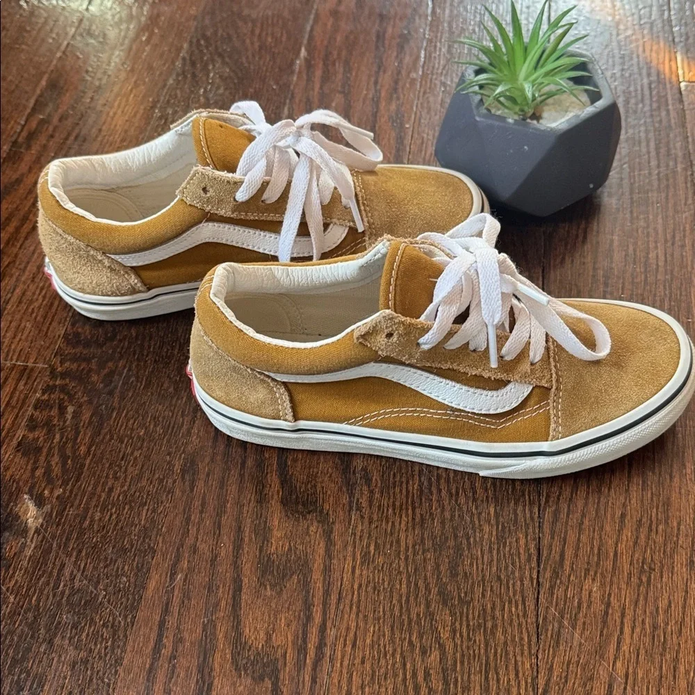 Vans comfortable sneakers