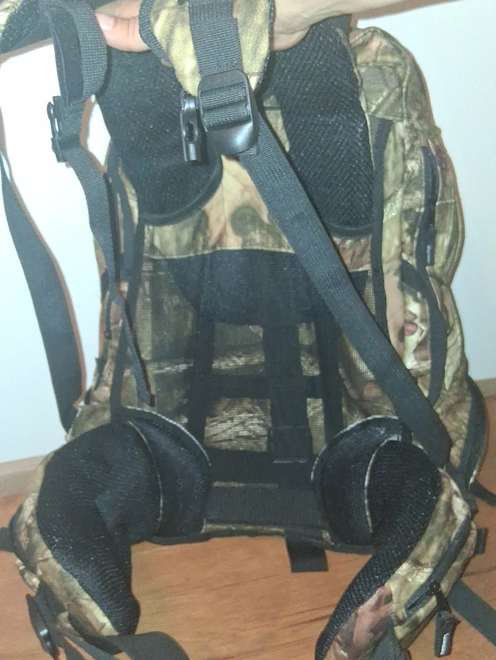 Sport cheif USA loads forest