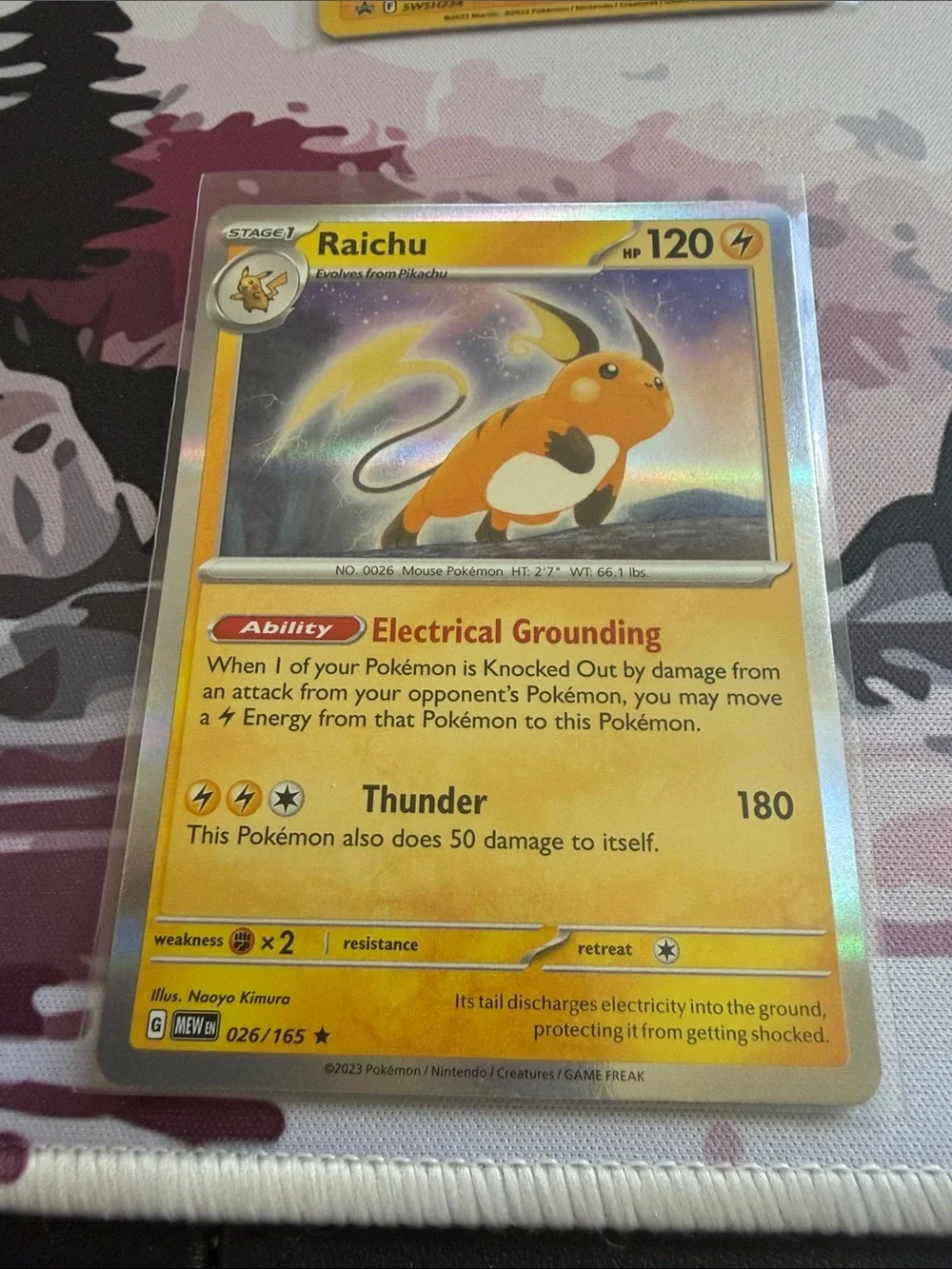 Pokemon pikachu raichu