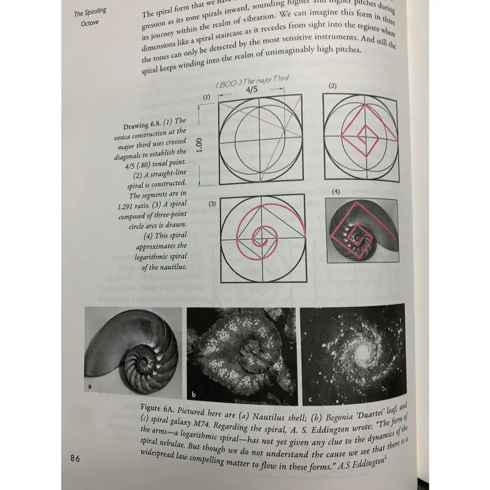 Na illustrated exploration