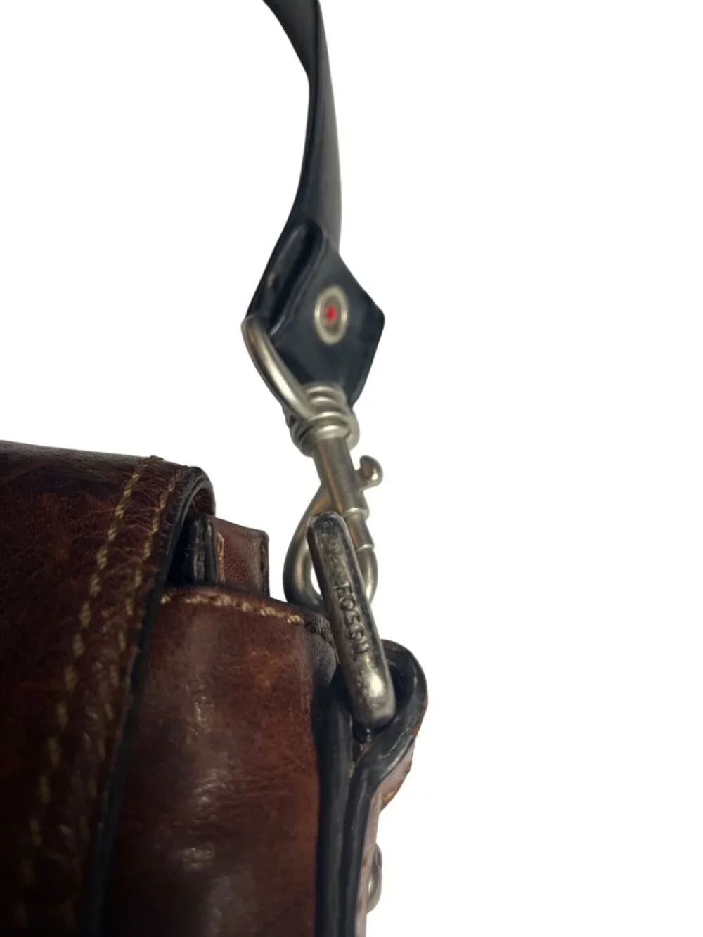 Fossil crafted from