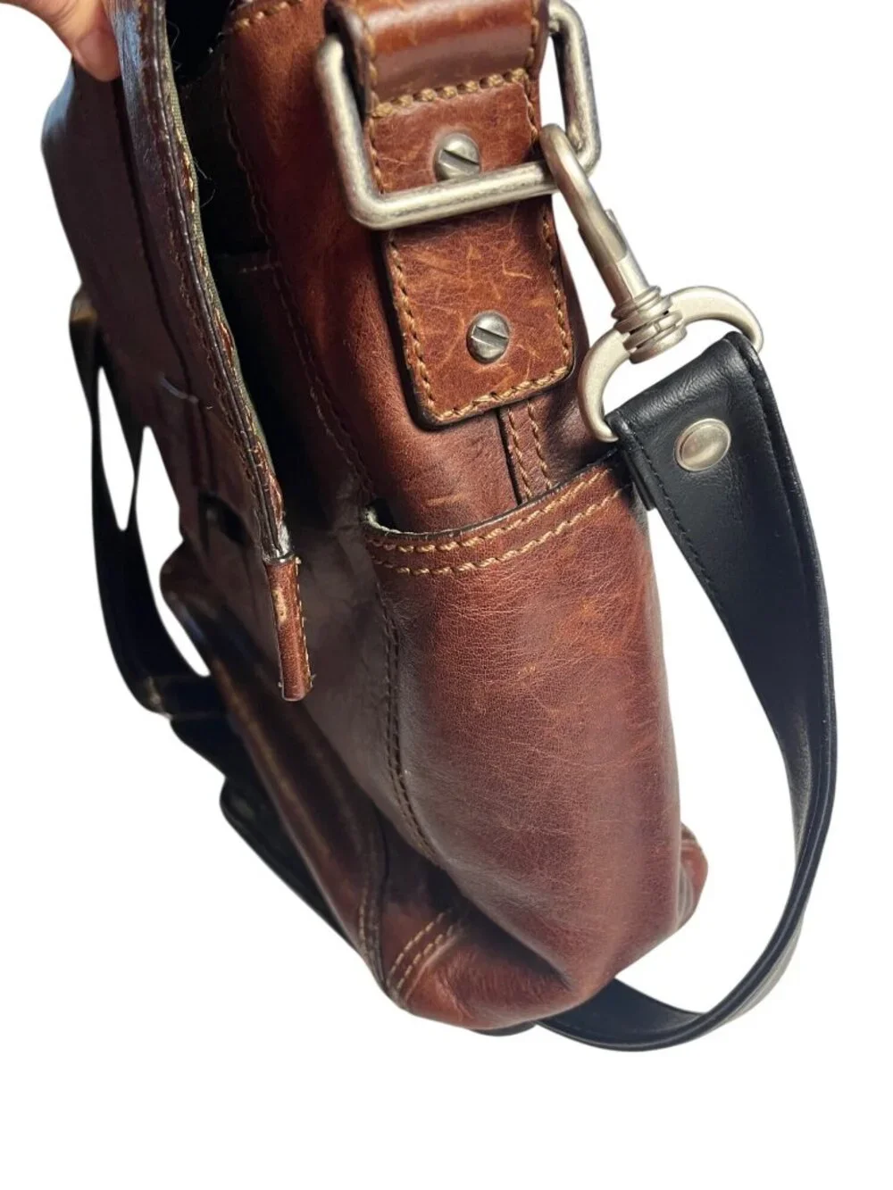 Fossil crafted from