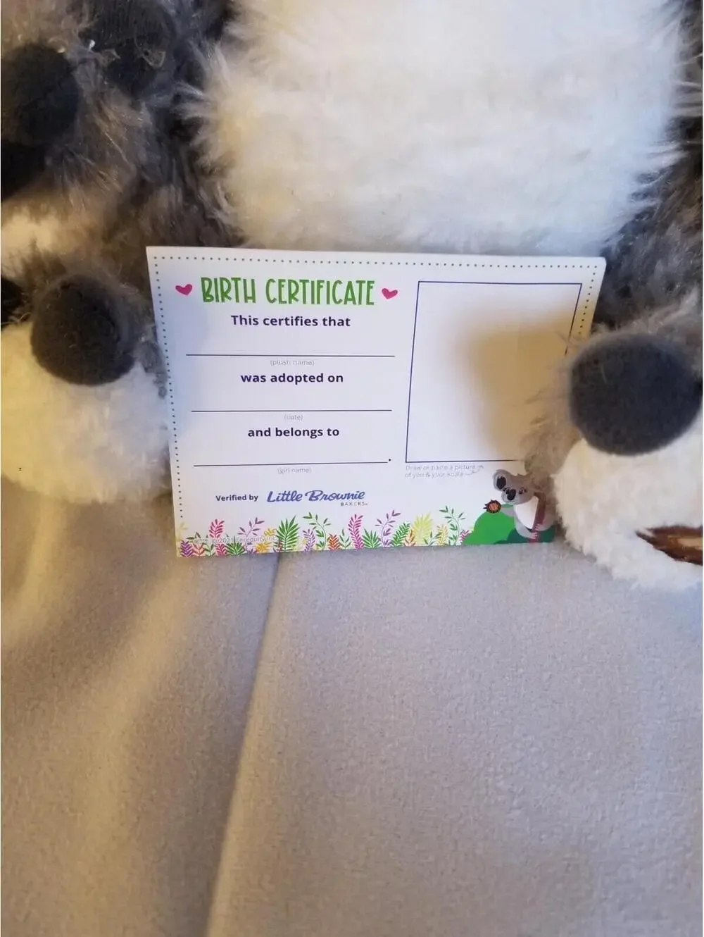 2021 Little Brownie Bakers Plush Koala Bear w/Extras~ New w/Tags Girl Scouts