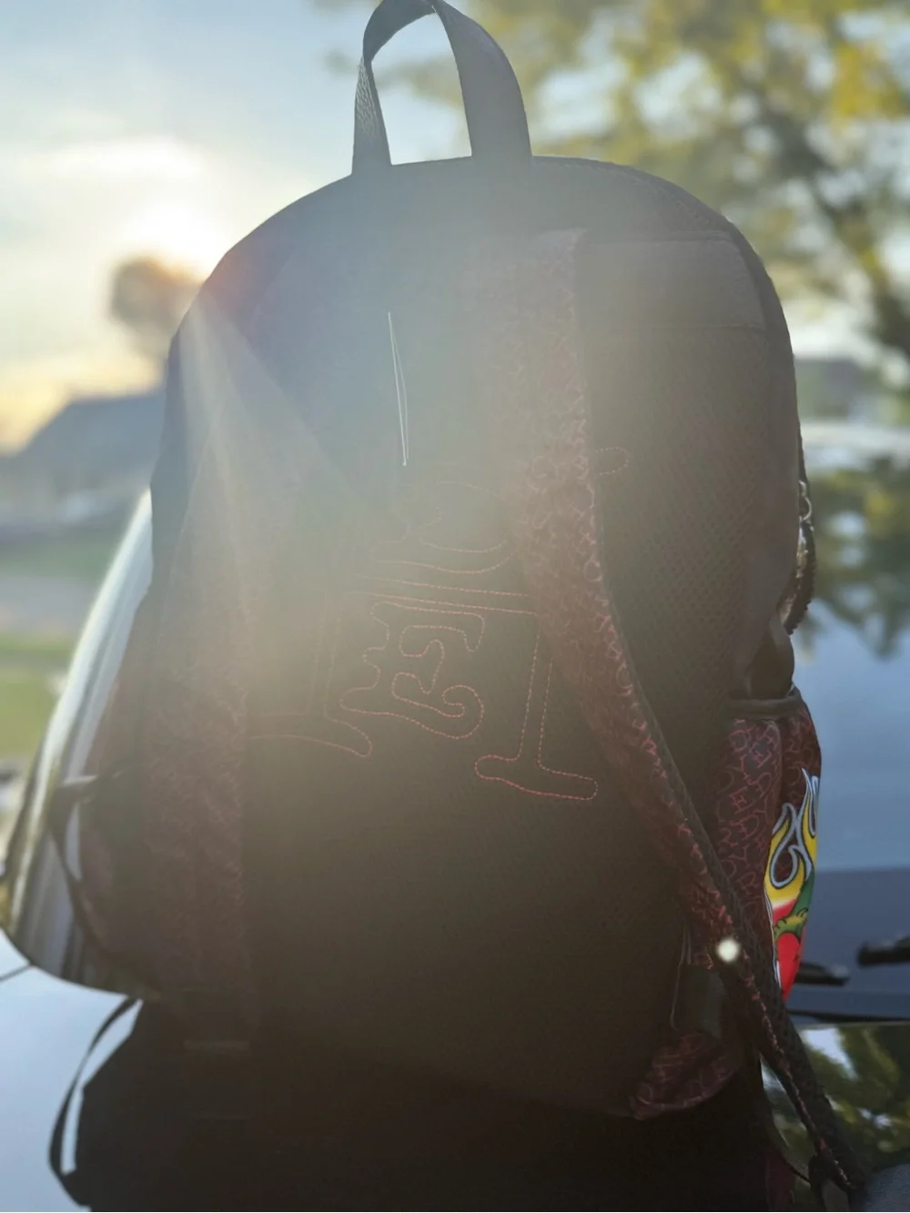 Ed Hardy black graphics