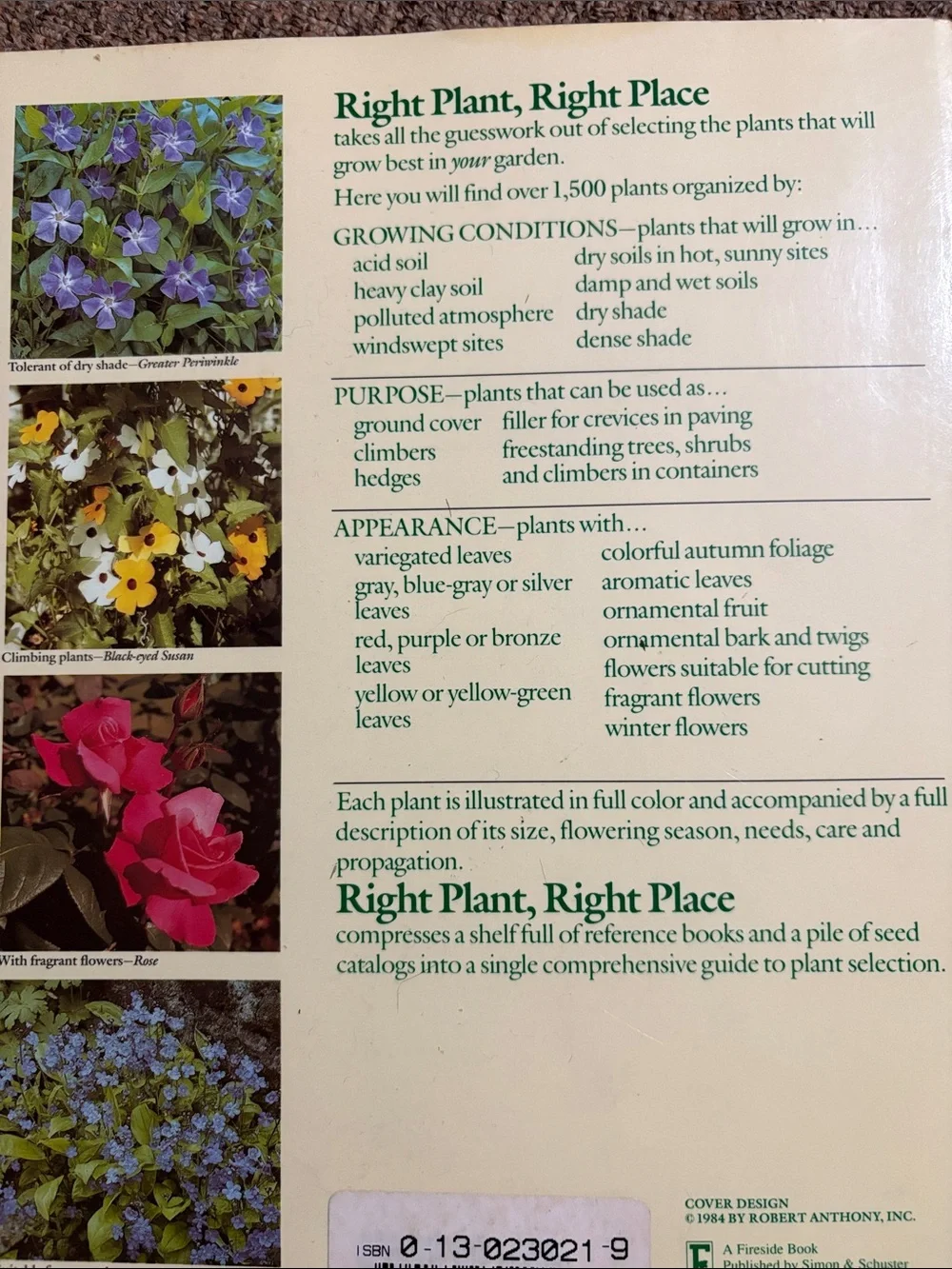 N/A right plant
