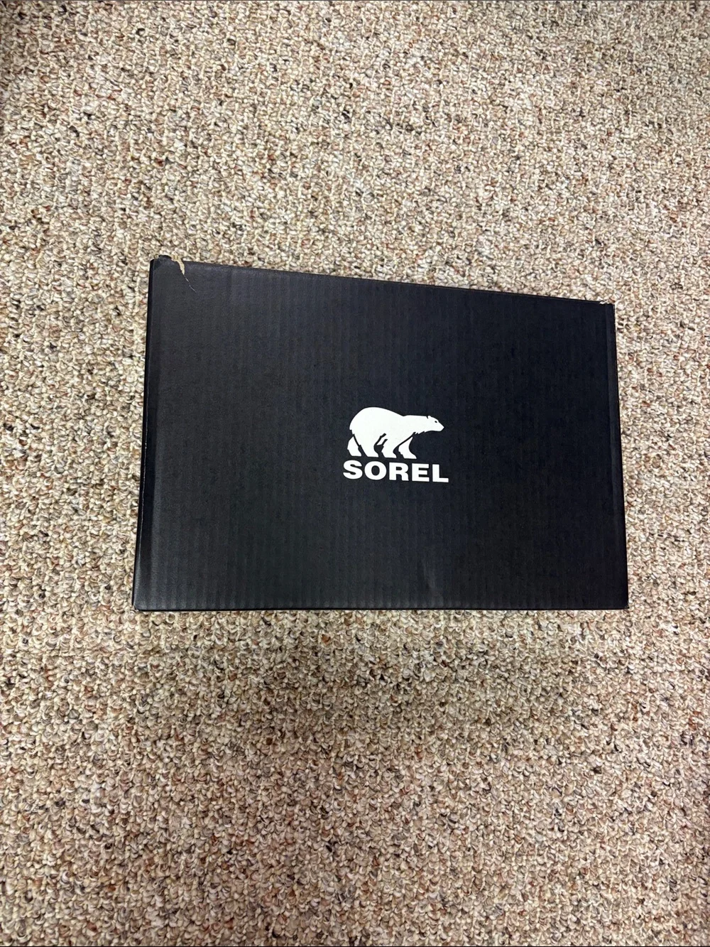 Sorel cones original