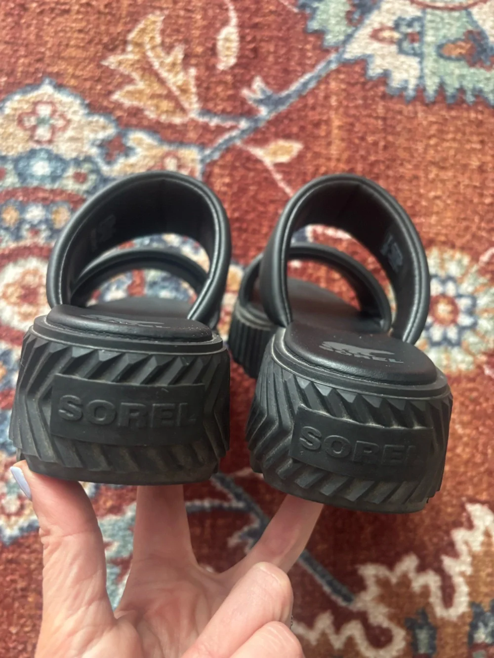 Sorel cones original