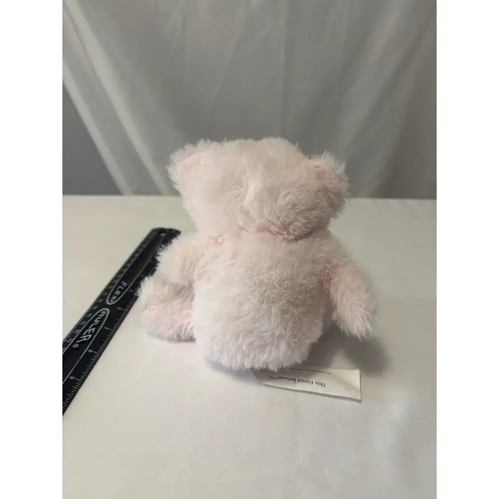 Greenbrier International Pink Plush Teddy Bear 6