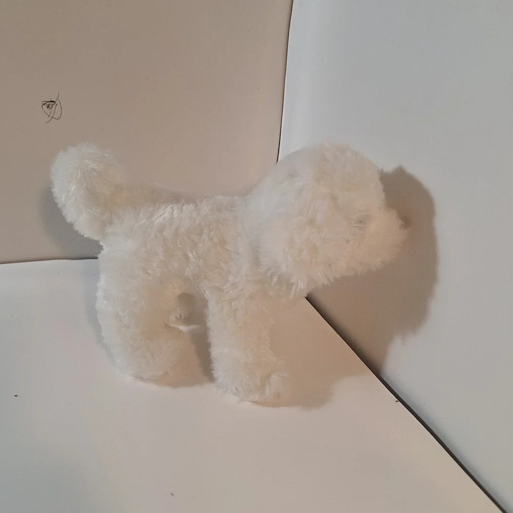 Douglas white dog